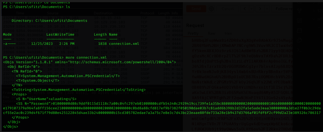 Connection.xml Discovery