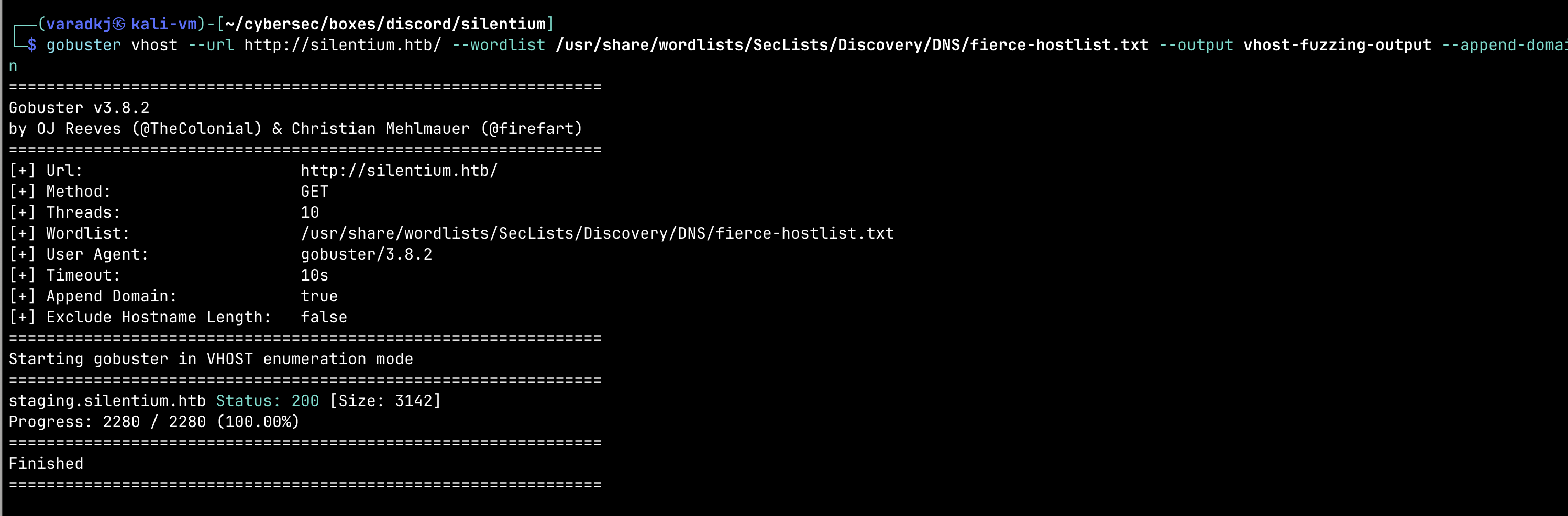 VHost fuzzing result